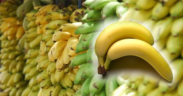 5 Healthy Reasons Why It Is Beneficial To Eat 2 Banana’s Everyday